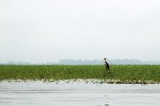 Foto: Women of the Tribe and Search of Freshwater Dolphins in Borneo